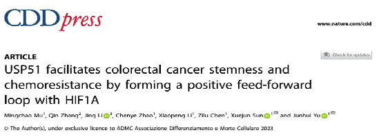 孙学军教授团队揭示结直肠癌细胞化疗耐药新